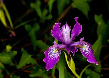 _MG_1035.webp