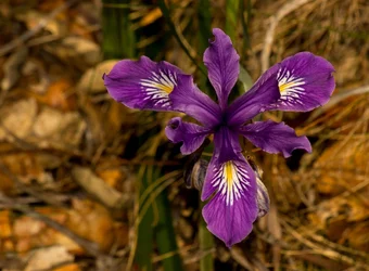_MG_1042.webp