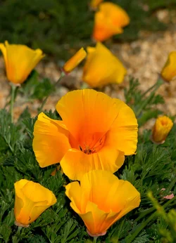_MG_1193.webp