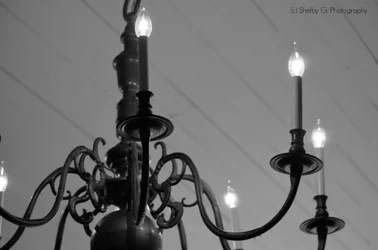 _DSC0935.webp