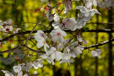 _MG_1259.webp