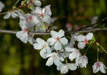 _MG_1261.webp