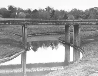 Bridge.webp
