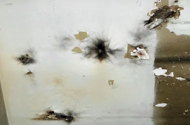 Burn holes abstarct sig.webp