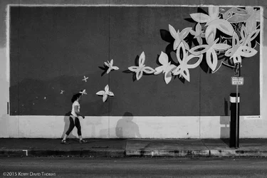 AustinMorning-2.webp AustinMorning-2.webp