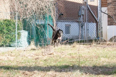 IMG_9089-1.webp