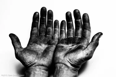 TomoHands-1.webp