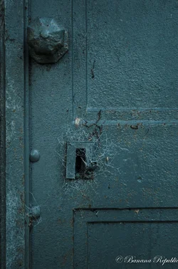 Moz Door PCrh (2 of 1)-3.webp
