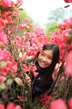 4 resized.webp 4 resized.webp