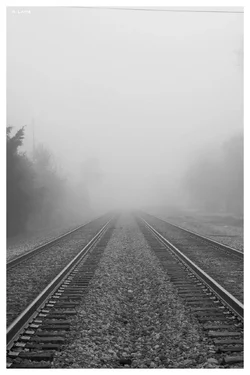 track fog jpg.webp