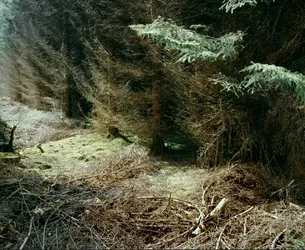 Capture d’écran 2015-05-25 à 10.23.03.webp