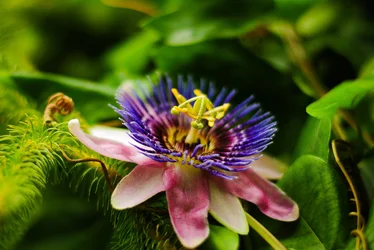 DSC_0122-2.webp
