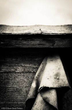 OldShed-3.webp
