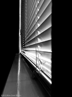 Blinds-1.webp