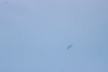 Example 2 of mystery shadow.webp