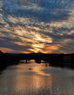 P1260467-2.webp