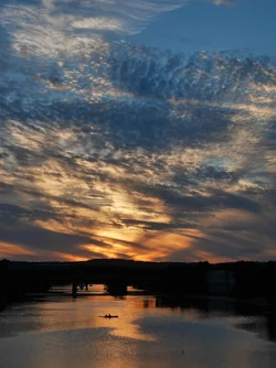 P1260469-2.webp