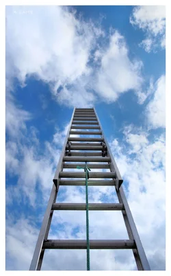 ladder heaven jpg.webp