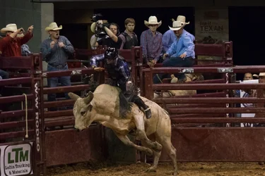 DSCF0926.webp