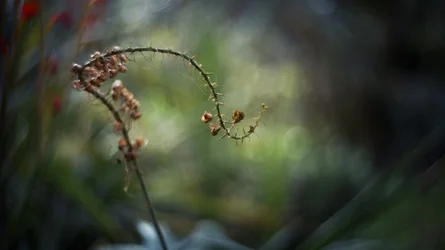 _DSC6880.webp