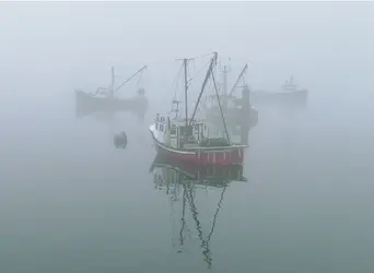 $Lubec Fishing Boats at Mooring in Fog.webp