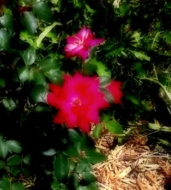 $2012-06-17 13.50.56.webp
