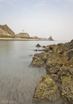 $&#1605;&#1591;&#1585;&#1581;.webp