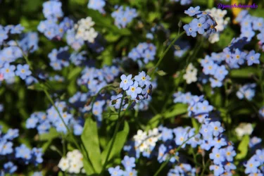 $IMG_4086.webp
