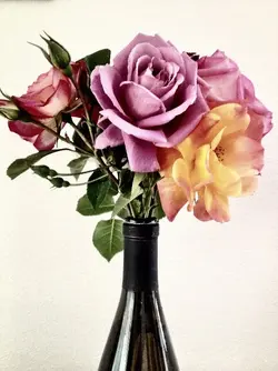 $Flower.webp