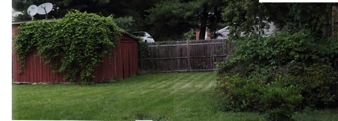 $backyard pano 1.webp