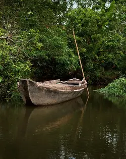 $boat.webp
