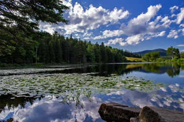 $_DSC0085-1.webp $_DSC0085-1.webp