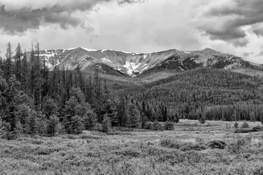 $_DSC0977meadow-mountain.webp