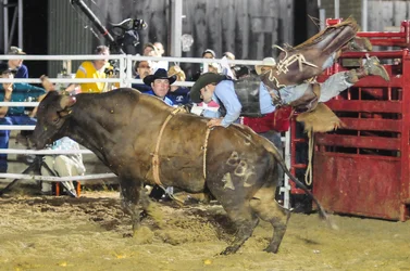 $Wild West Fest 12 211-2.webp