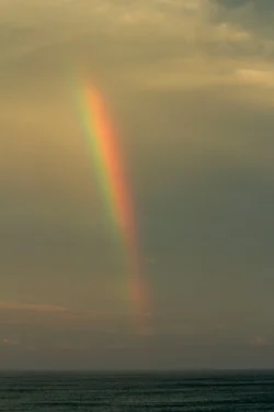 $Rainbow.webp $Rainbow.webp