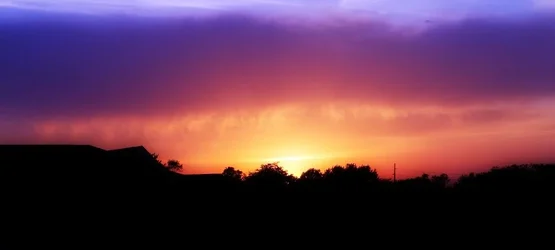 $5-30-11 013 (800x361).webp