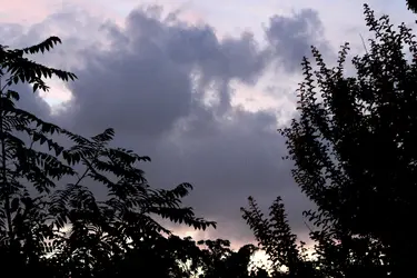 $IMG_7421.webp