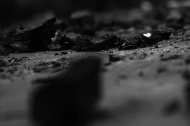$heartwoodbw.webp $heartwoodbw.webp