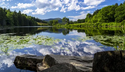 $_DSC0082-2.webp $_DSC0082-2.webp