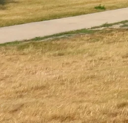 $IMG_2196 Crop FG.webp $IMG_2196 Crop FG.webp