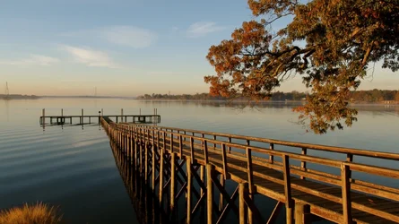 $***Autumn Morning on the Nansemond River.webp