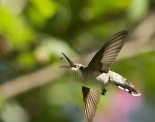 RTH_6513web.webp
