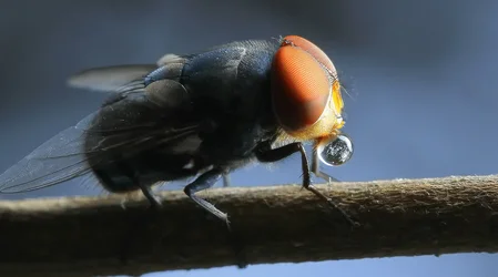 Image 3.webp