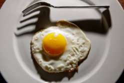 EggandFork.jpg