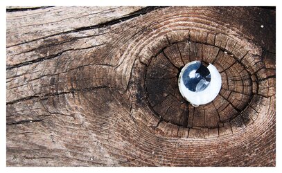 eyeball on wood jpg.jpg