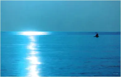 blue sea sig.webp