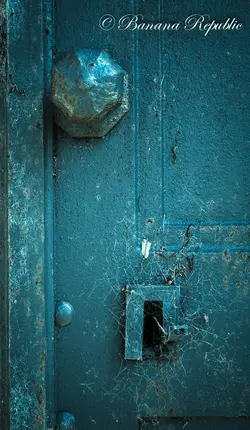 Door2.webp