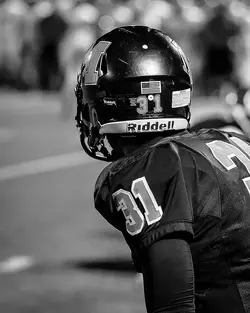 21409107135_7f41f02310_c.webp
