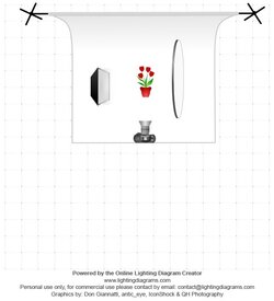 lighting-diagram-1442447963.jpg