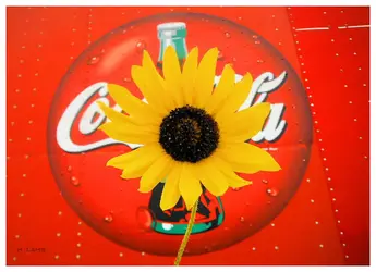 flower coke jpg.webp
